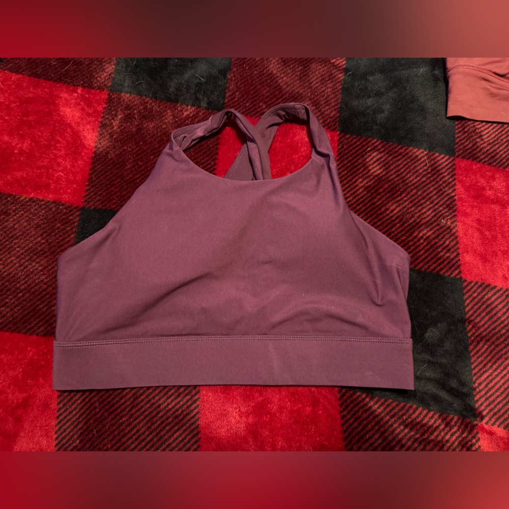 Fabletics sports bra